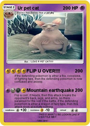 Pokemon Ur pet cat