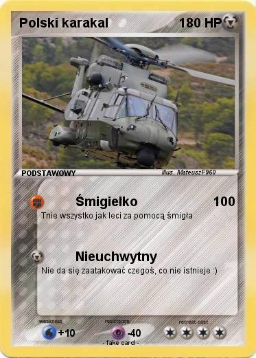 Pokemon Polski karakal