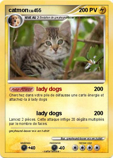 Pokemon catmon