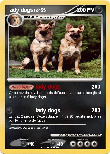 Pokemon lady dogs