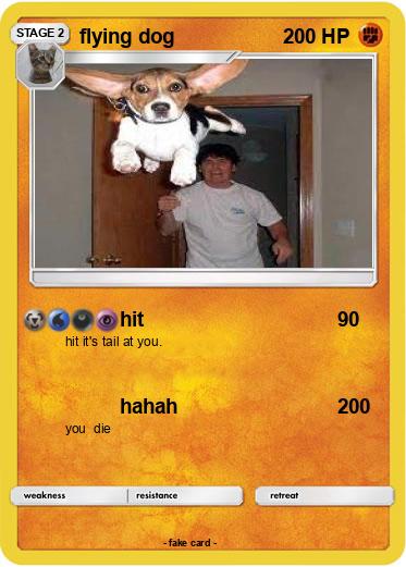 Pokemon flying dog