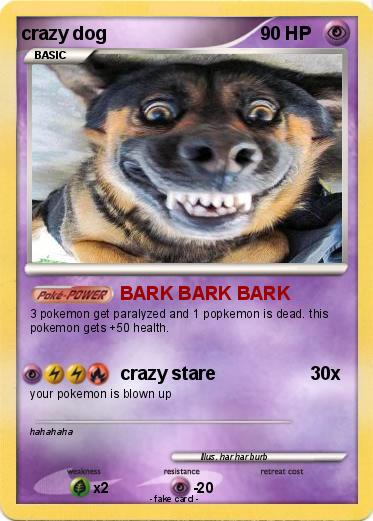 Pokemon crazy dog