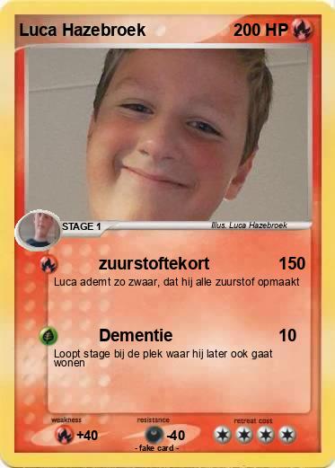 Pokemon Luca Hazebroek