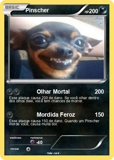 Pokemon Pinscher