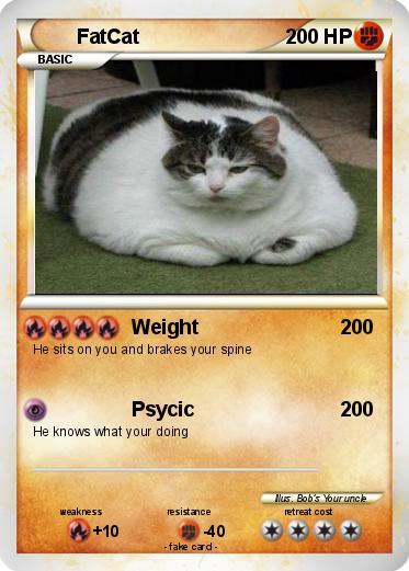 Pokemon FatCat