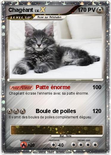 Pokemon Chagéant