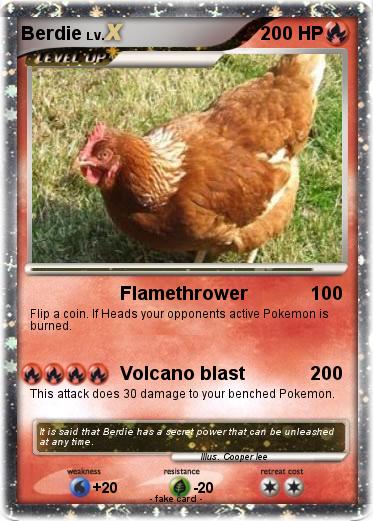 Pokemon Berdie