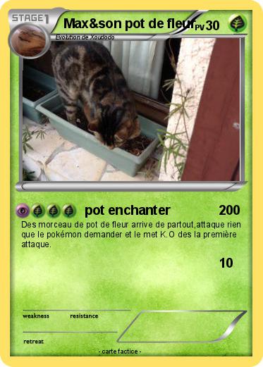 Pokemon Max&son pot de fleur