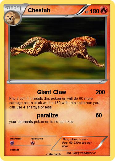 Pokemon Cheetah