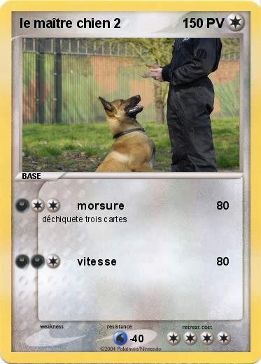 Pokemon le maître chien 2