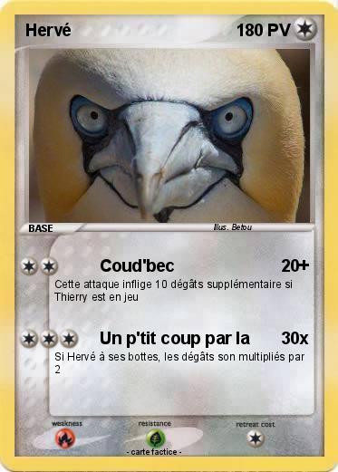 Pokemon Hervé