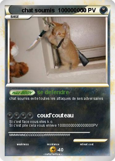 Pokemon chat soumis  100000000