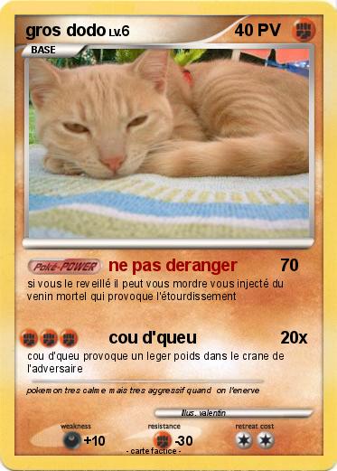 Pokemon gros dodo