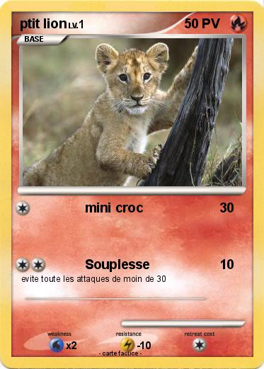 Pokemon ptit lion