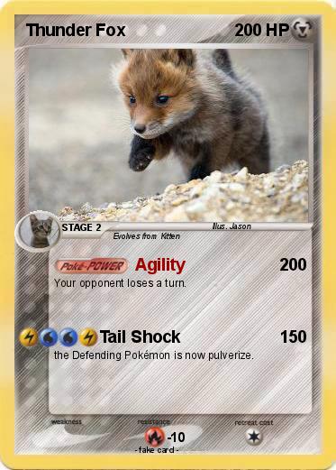 Pokemon Thunder Fox