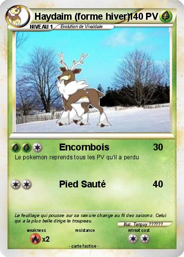 Pokemon Haydaim (forme hiver)