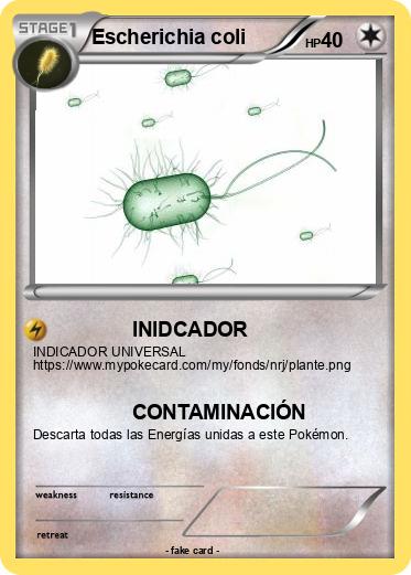 Pokemon Escherichia coli