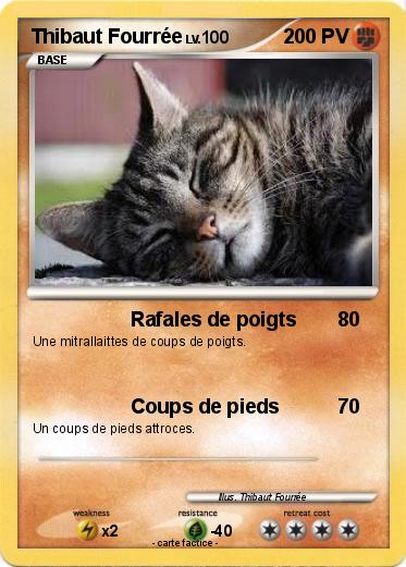 Pokemon Thibaut Fourrée