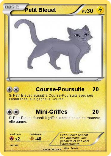 Pokemon Petit Bleuet