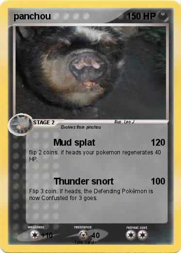 Pokemon panchou