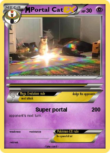 Pokemon Portal Cat