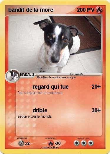 Pokemon bandit de la more