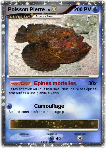 Pokemon Poisson Pierre