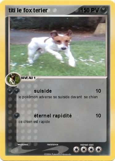 Pokemon titi le fox terier 