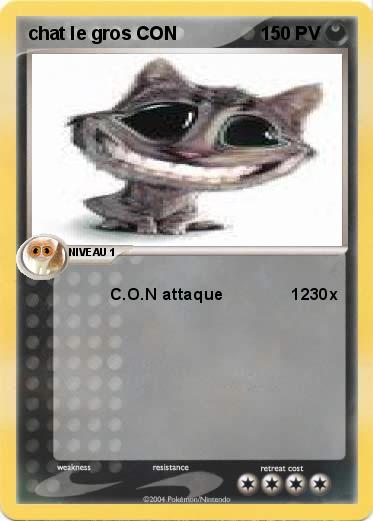 Pokemon chat le gros CON