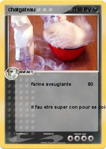 Pokemon chatgateau