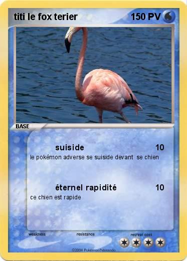 Pokemon titi le fox terier 