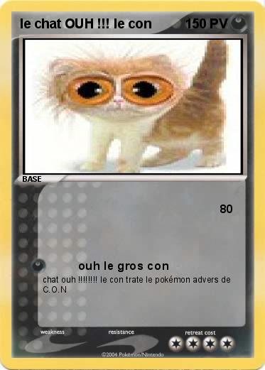 Pokemon le chat OUH !!! le con