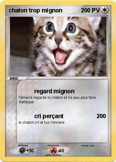 Pokemon chaton trop mignon