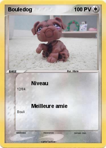 Pokemon Bouledog