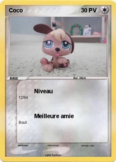 Pokemon Coco