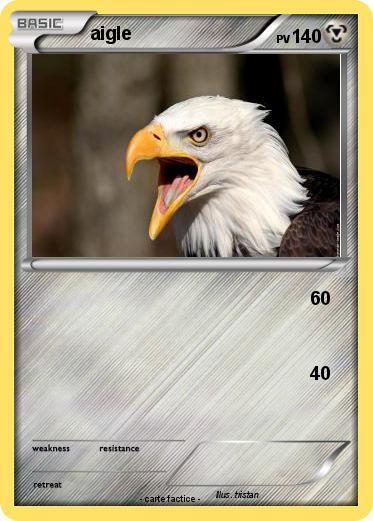 Pokemon aigle