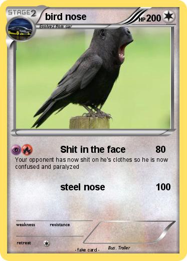Pokemon bird nose