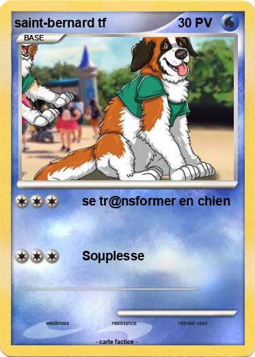 Pokemon saint-bernard tf