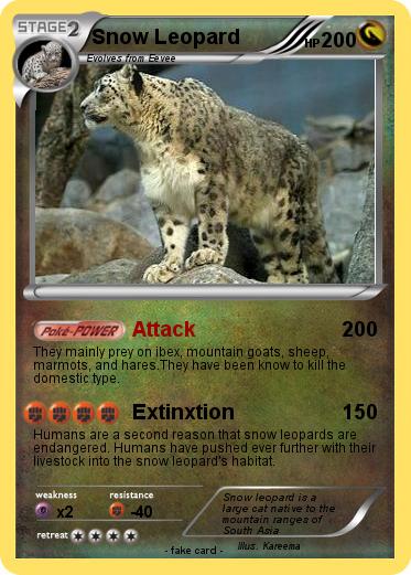 Pokemon Snow Leopard