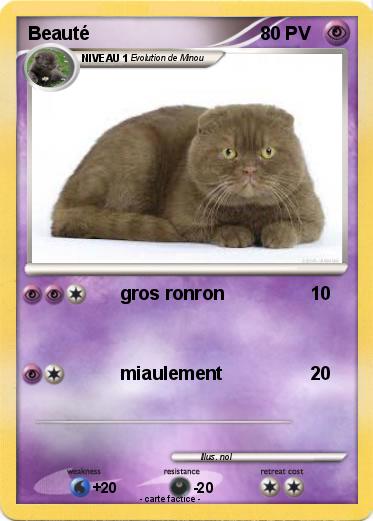 Pokemon Beauté