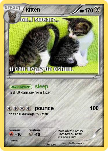 Pokemon kitten