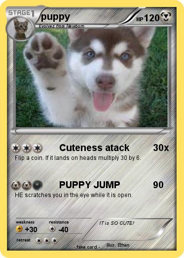 Pokemon puppy