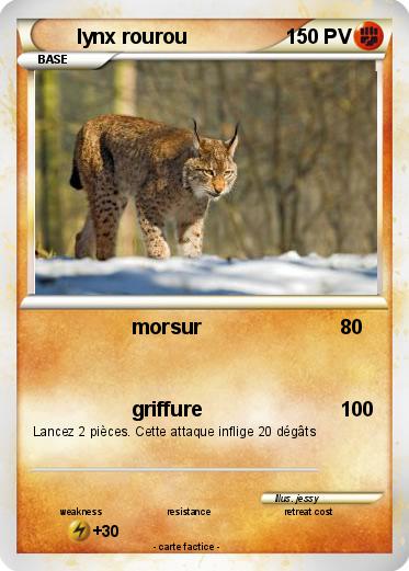 Pokemon lynx rourou