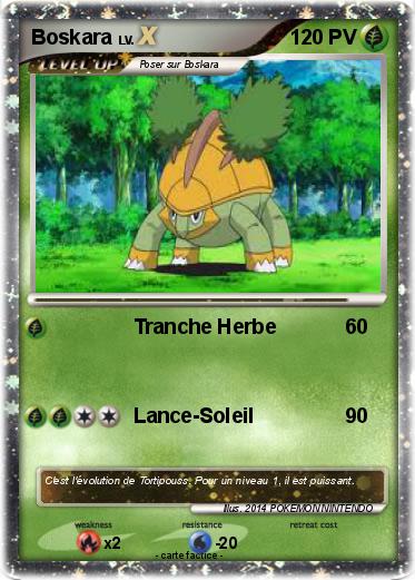 Pokemon Boskara