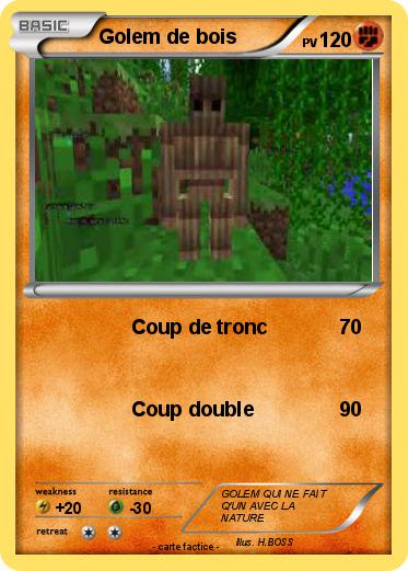 Pokemon Golem de bois