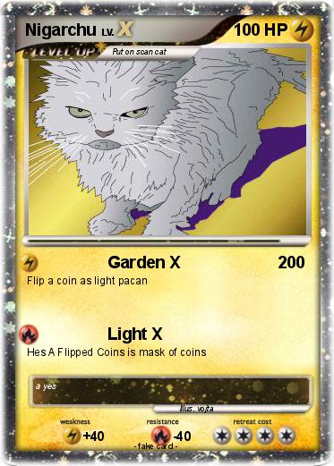 Pokemon Nigarchu