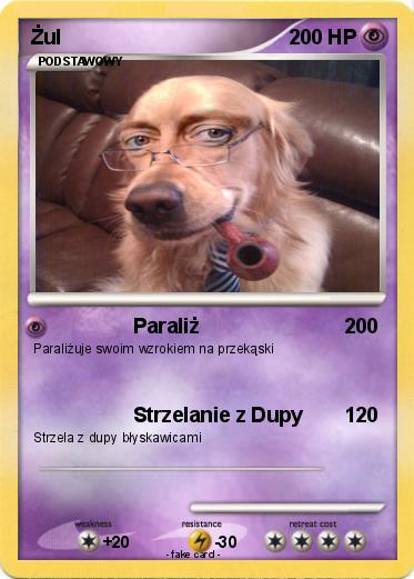 Pokemon Żul