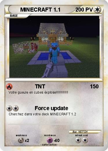 Pokemon MINECRAFT 1.1