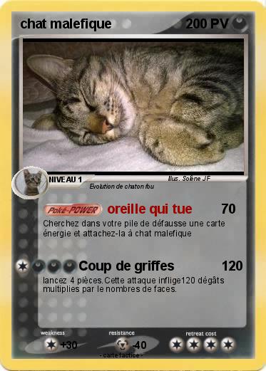 Pokemon chat malefique