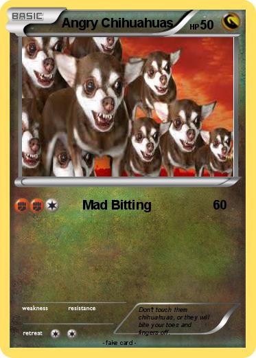 Pokemon Angry Chihuahuas